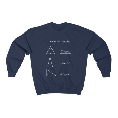 Funny Math Teacher sweatshirt Name the triangles Funny pun sweater